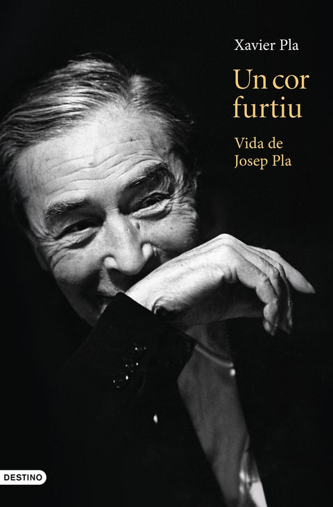  Un cor furtiu 