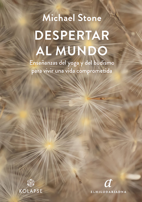 DESPERTAR AL MUNDO 