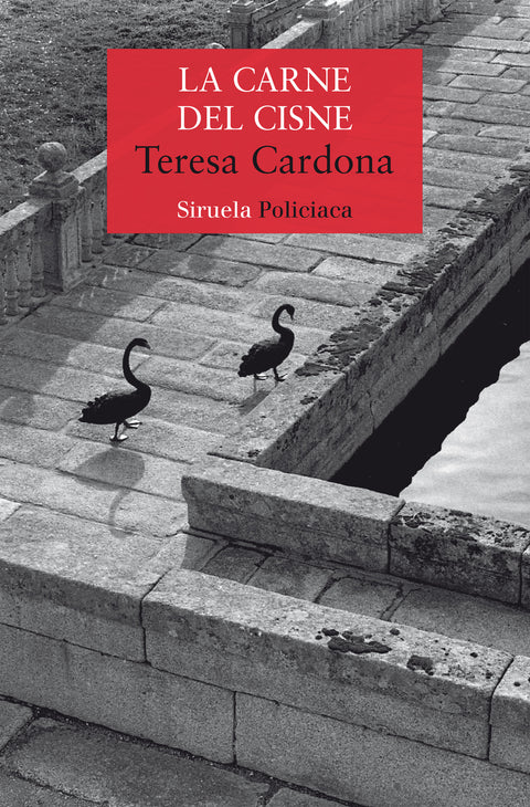  La carne del cisne 