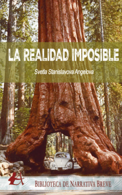  LA REALIDAD IMPOSIBLE 