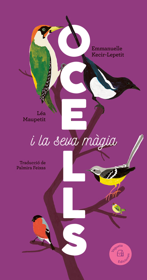  Ocells 