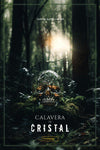  Calavera de cristal 