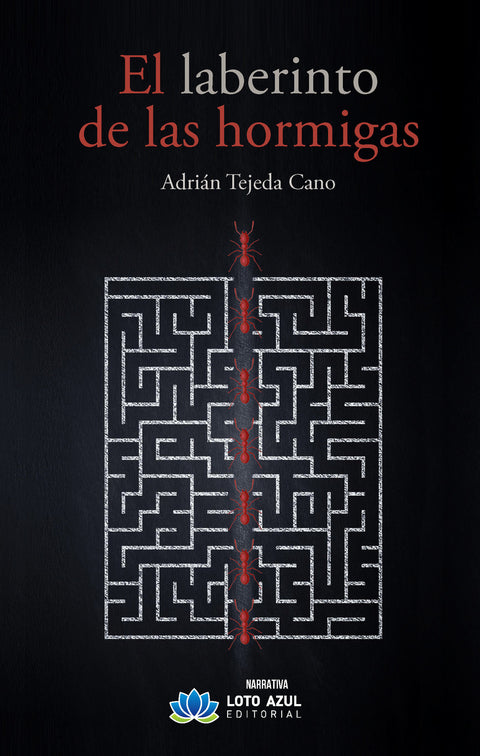  El laberinto de las hormigas 