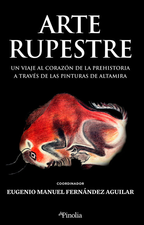  Arte rupestre 
