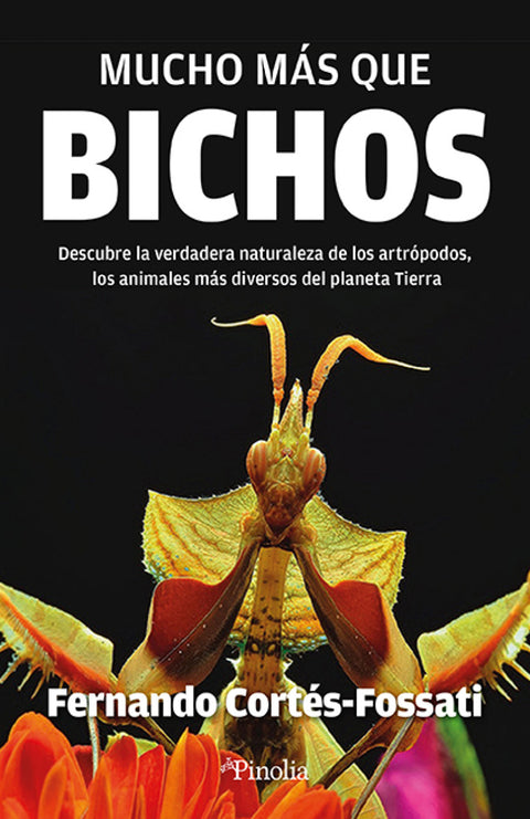  Mucho más que bichos 