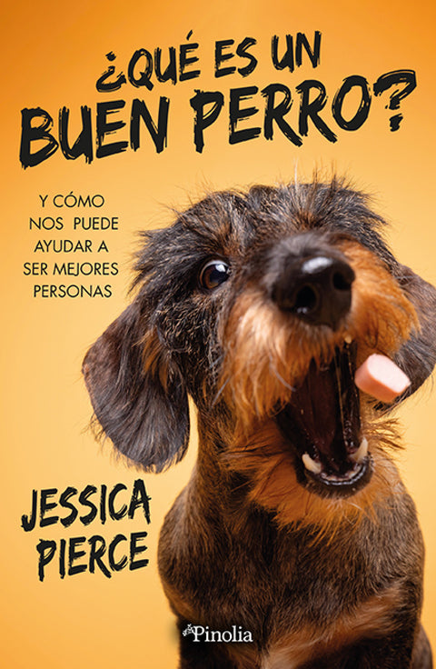  ¿Qué es un buen perro? 