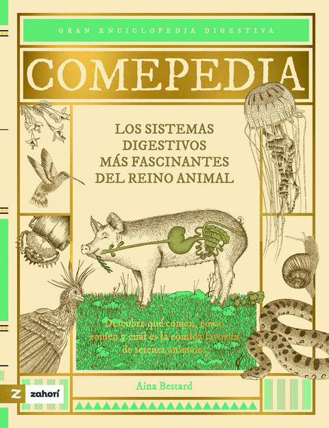 Comepedia 
