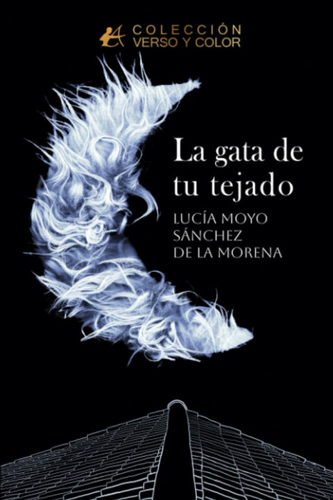  LA GATA DE TU TEJADO 