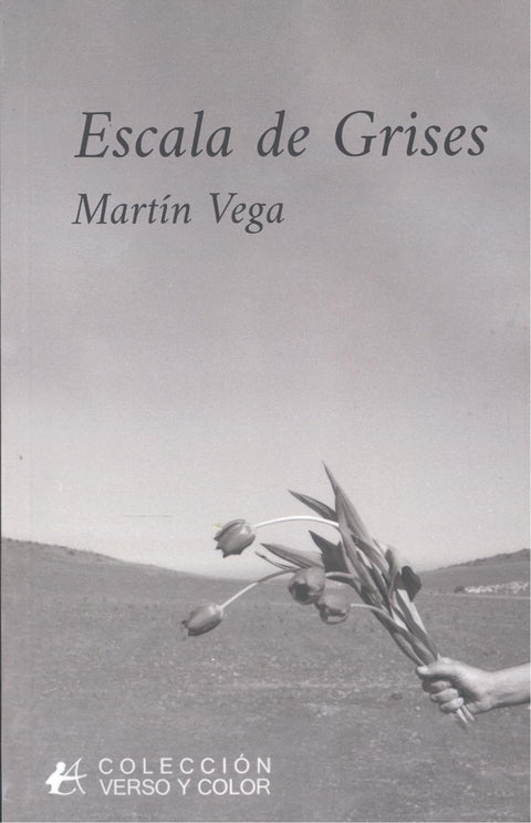  Escala de grises 