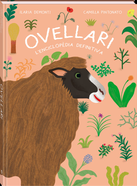  Ovellari 