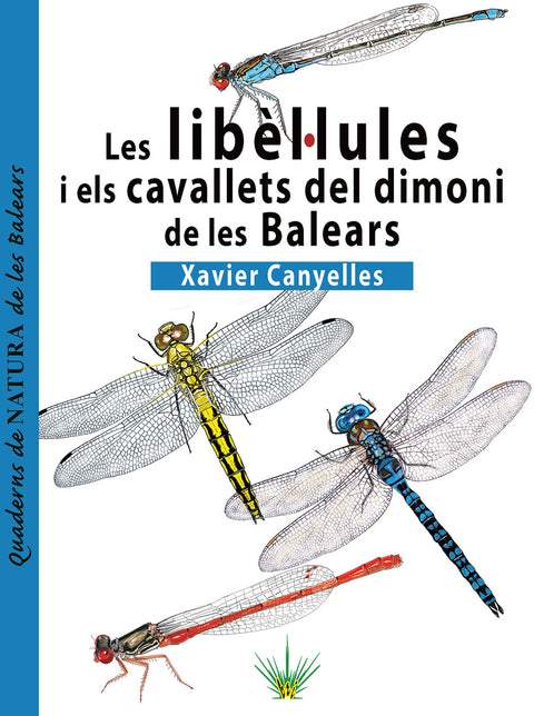  LIBEL·LULES I ELS CAVALLETS DEL DIMONI DE LES BALEARS, LES 