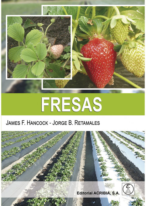  Fresas 
