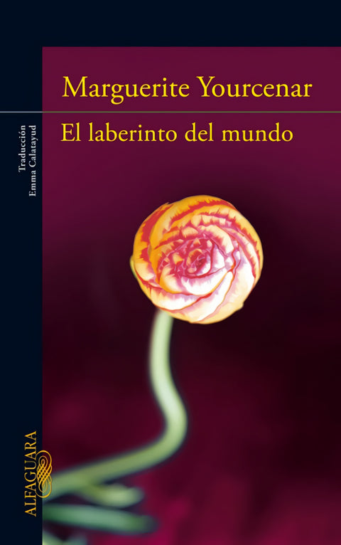  El laberinto del mundo 