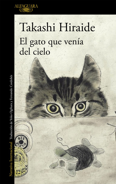  El gato que venía del cielo 