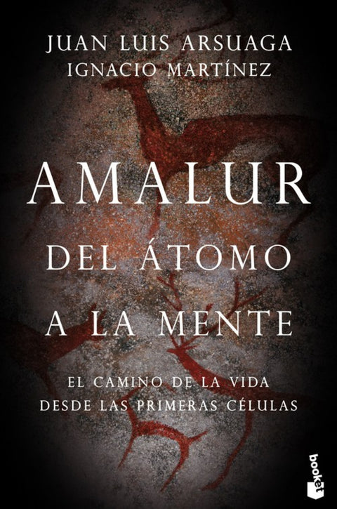  AMALUR 