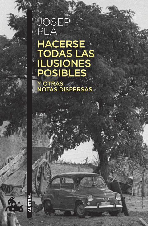  HACERSE TODAS LAS ILUSIONES POSIBLES 