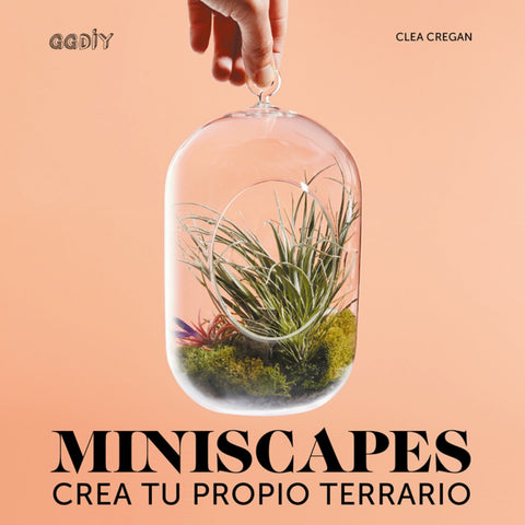  Miniscapes 