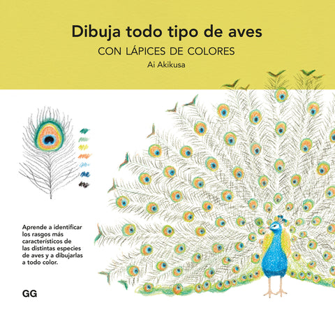  Dibuja todo tipo de aves con lápices de colores 