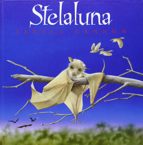 Stelaluna 
