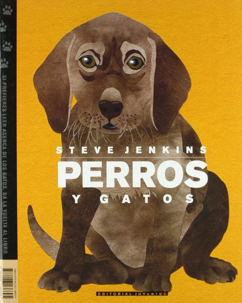  PERROS Y GATOS 