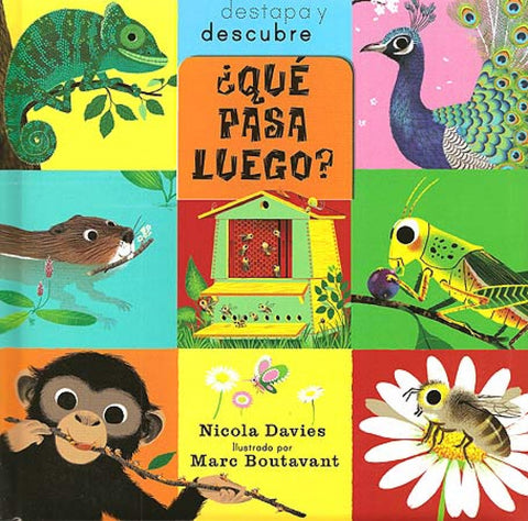  ¿Qué pasa luego? 