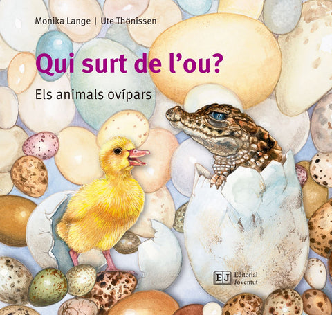  QUI SURT DE L'OU? 