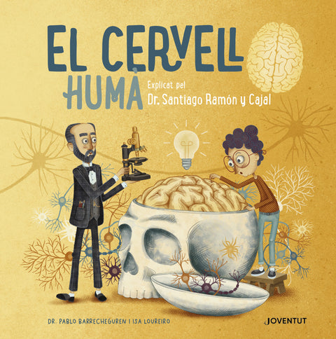  El cervell huma 