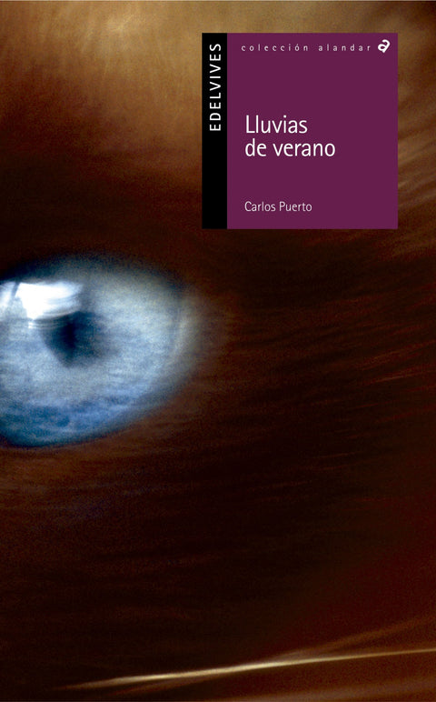  Lluvias de verano 