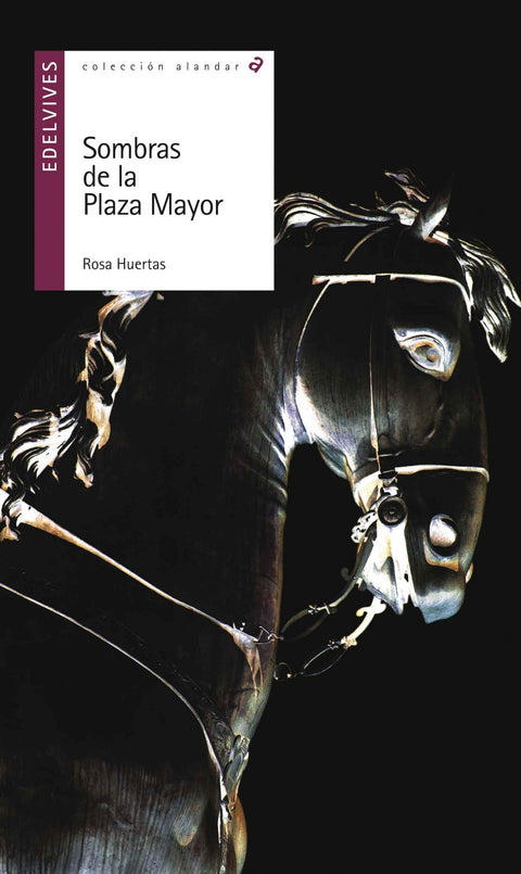  Sombras de la Plaza Mayor 