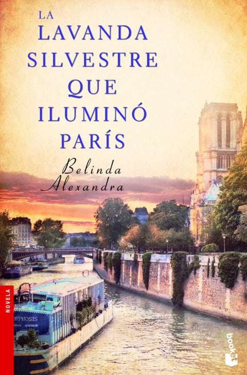  La lavanda silvestre que iluminó París 