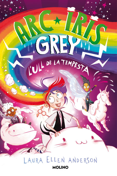  ARC IRIS GREY I L'ULL DE LA TEMPESTA 