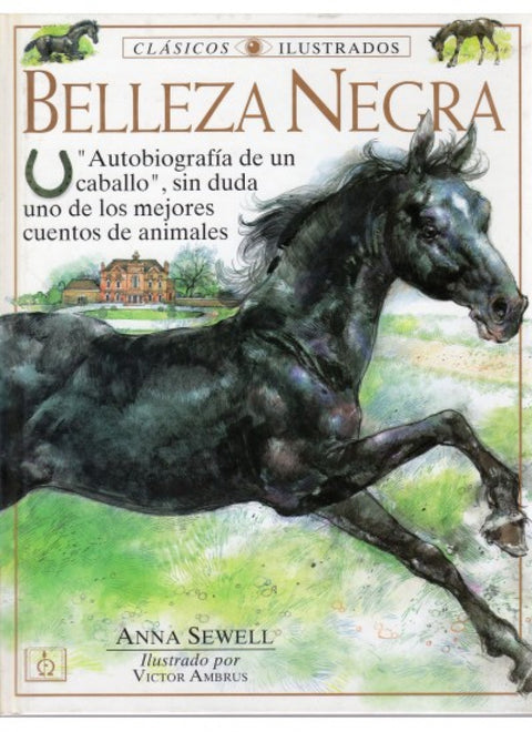  BELLEZA NEGRA 