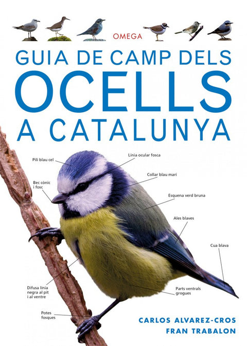 GUIA DE CAMP DELS OCELLS A CATALUNYA 