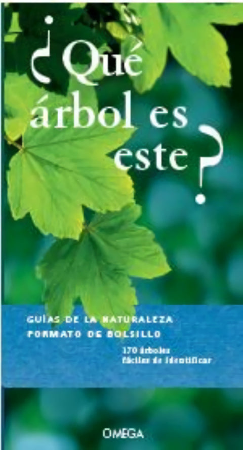  ¿QUÉ ARBOL ES ESTE? 