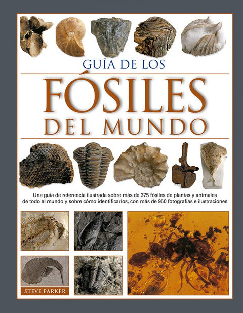  GUIA DE LOS FOSILES DEL MUNDO 