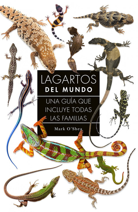  Lagartos del mundo: una guia que incluye todas las familias 