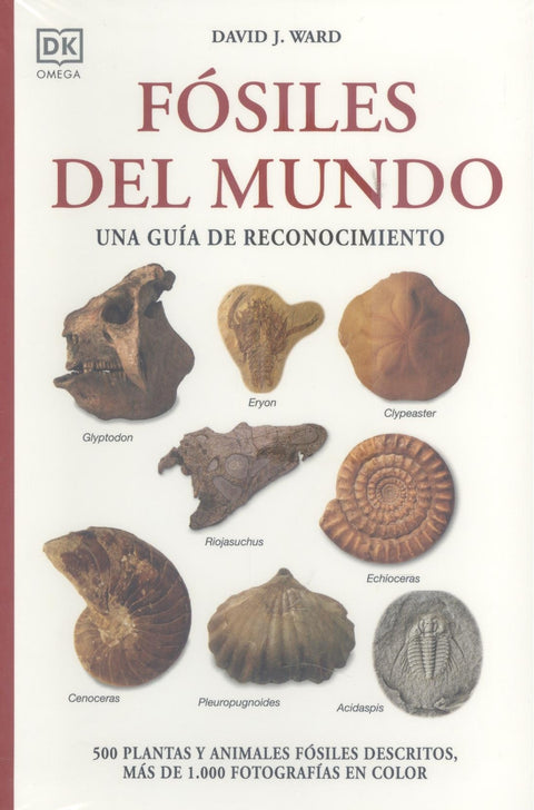  FÓSILES DEL MUNDO 