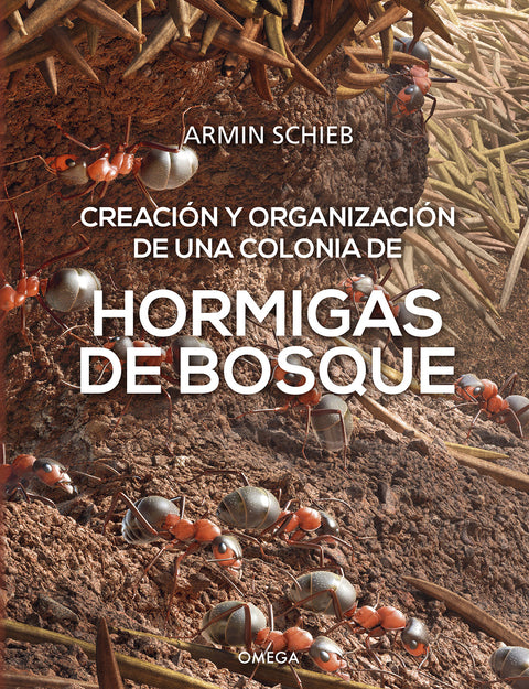  HORMIGAS DE BOSQUE. CREACION Y ORGANIZACION DE UNA COLONIA 