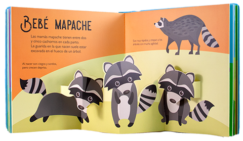 Bebés animales 