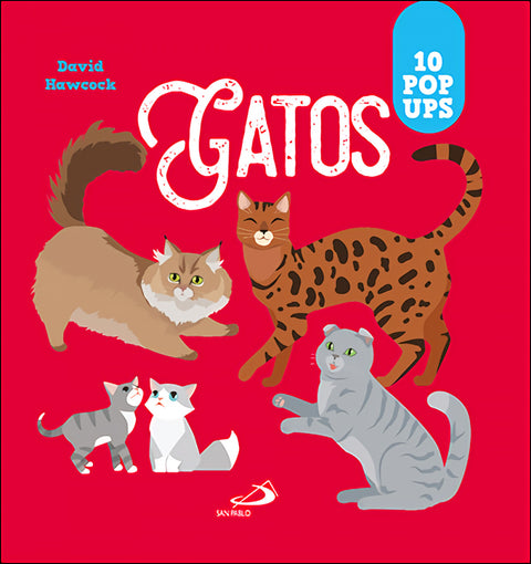  Gatos 