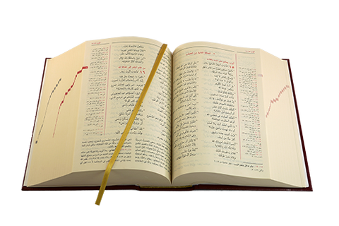  Bibbia Scrutate le Scritture (árabe) 