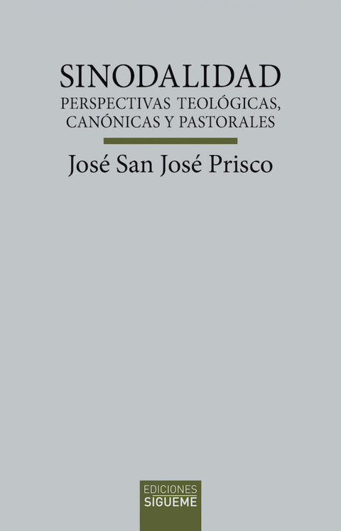  Sinodalidad 