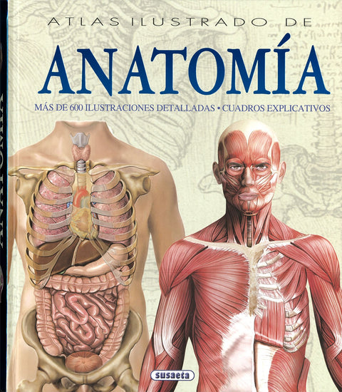  Atlas ilustrado de anatomía 