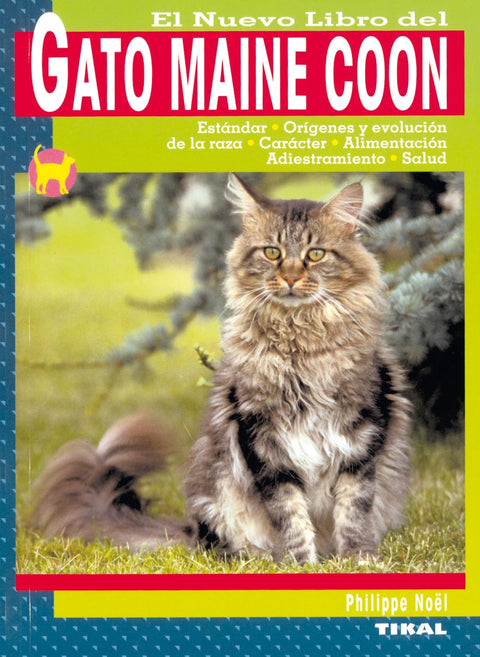  Gato Maine Coon 