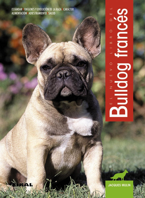  Bulldog francés 