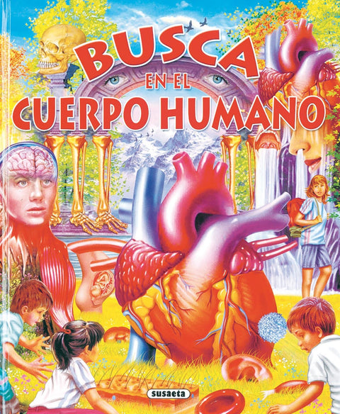  Busca en el cuerpo humano 