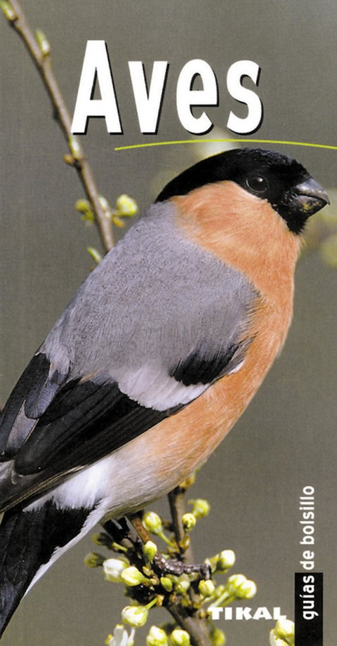  Aves (Guías de bolsillo) 