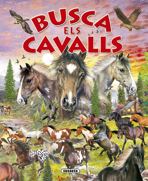  Busca els cavalls i ponis (Busca...) 