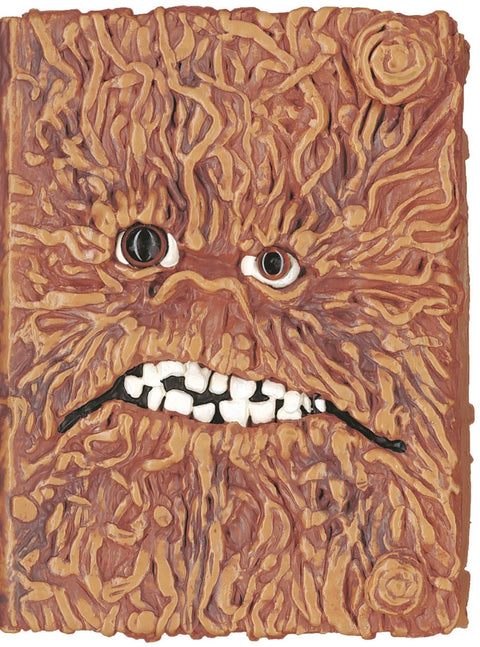  El meu diari del mon magic 