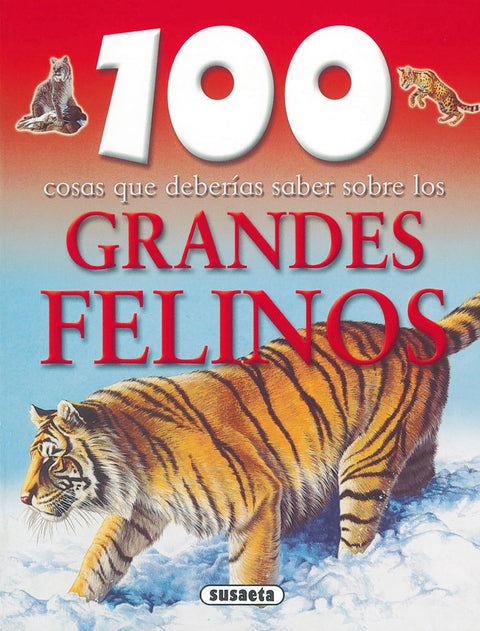  Grandes felinos 